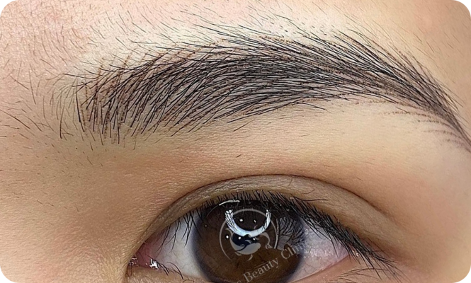 Chân mày hairstroke