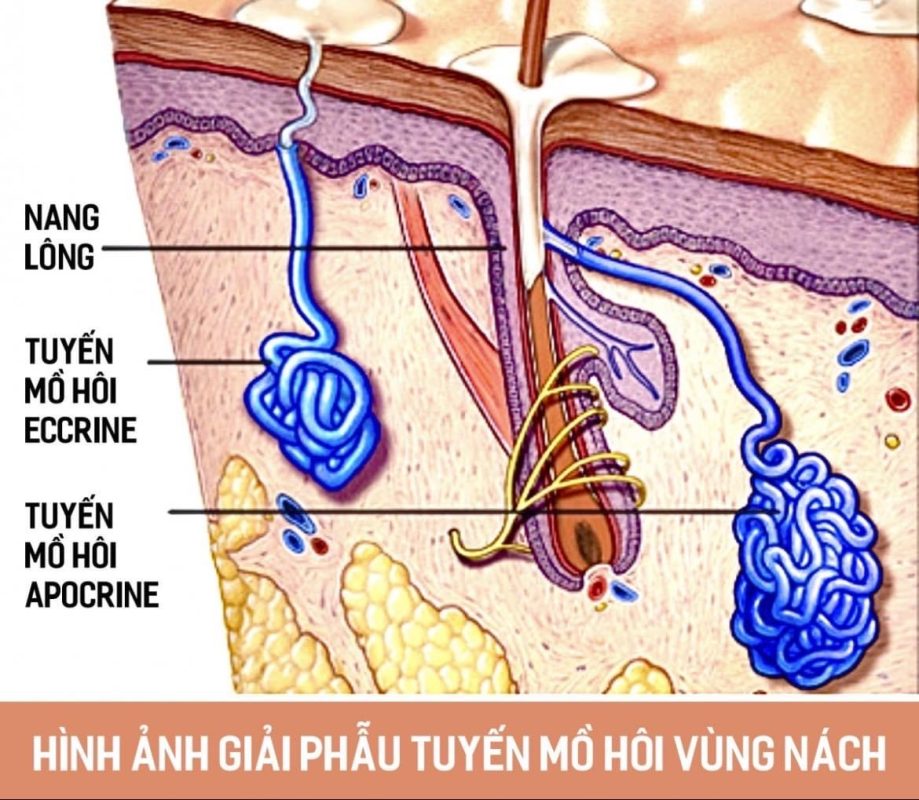 tiem-botox-tri-hoi-nach-co-an-toan-khong-gia-bao-nhieu