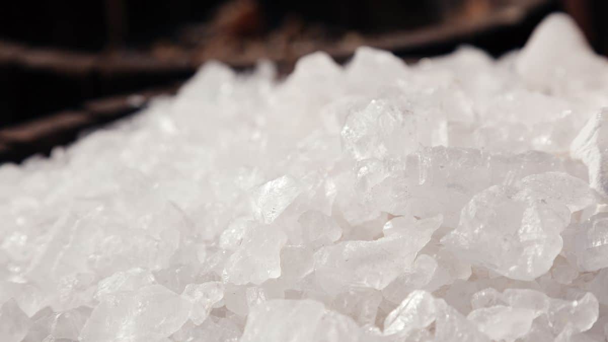 top-cac-phuong-phap-dieu-tri-hoi-nach