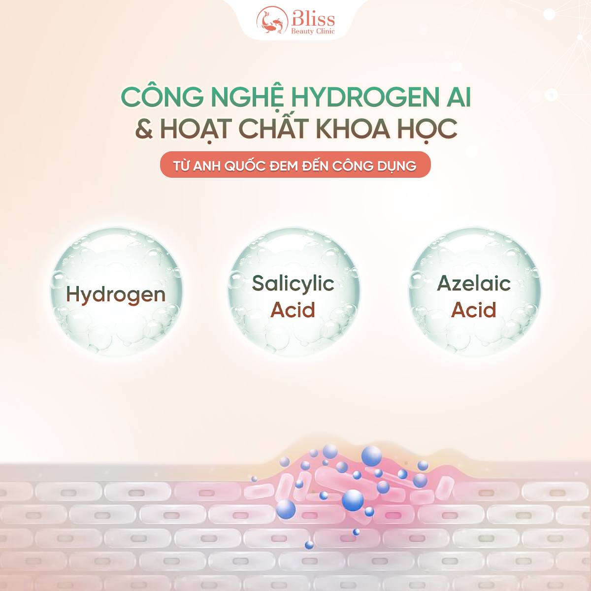 các hoạt chất trong HYDROPEEL