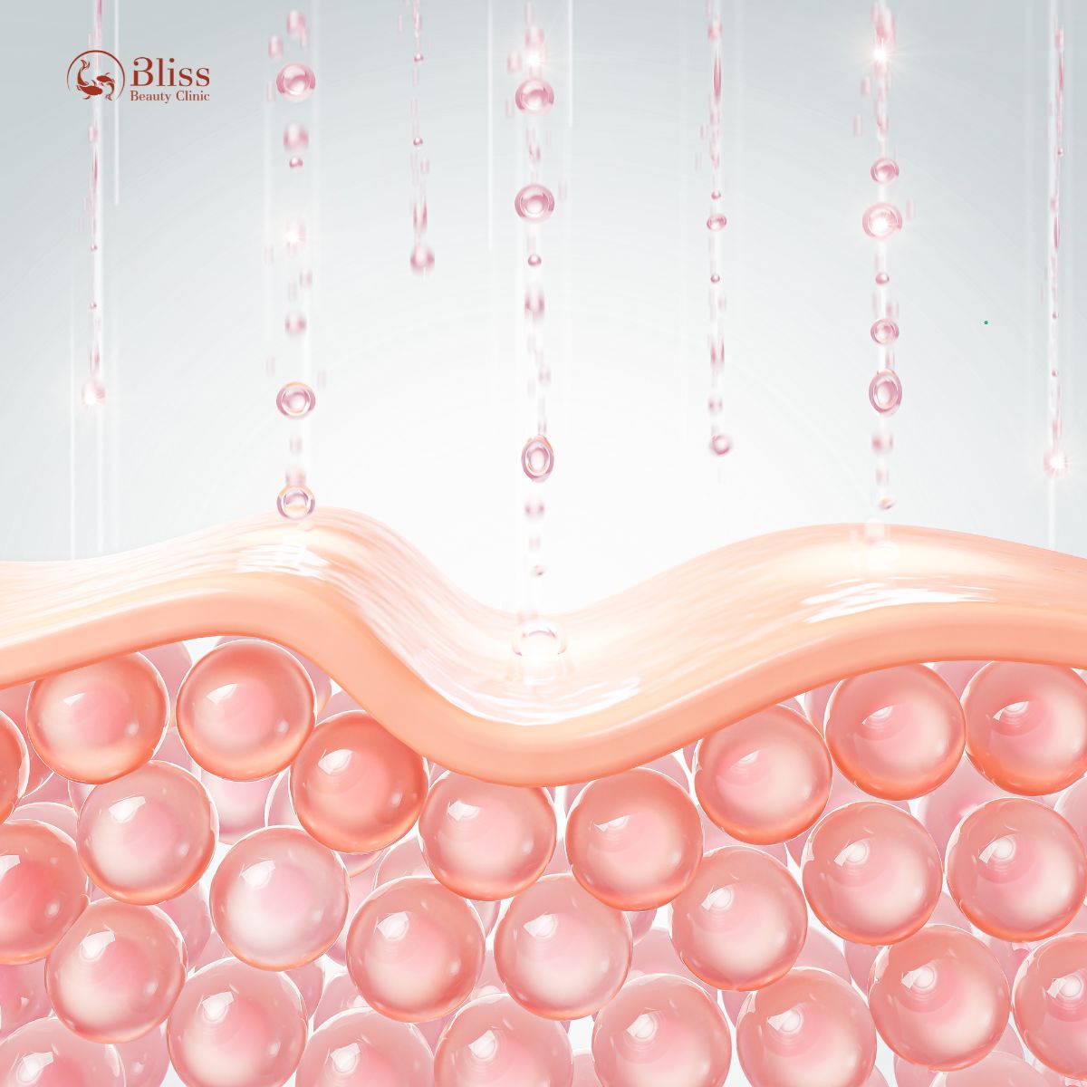 BioLift BAP 7+1 điểm