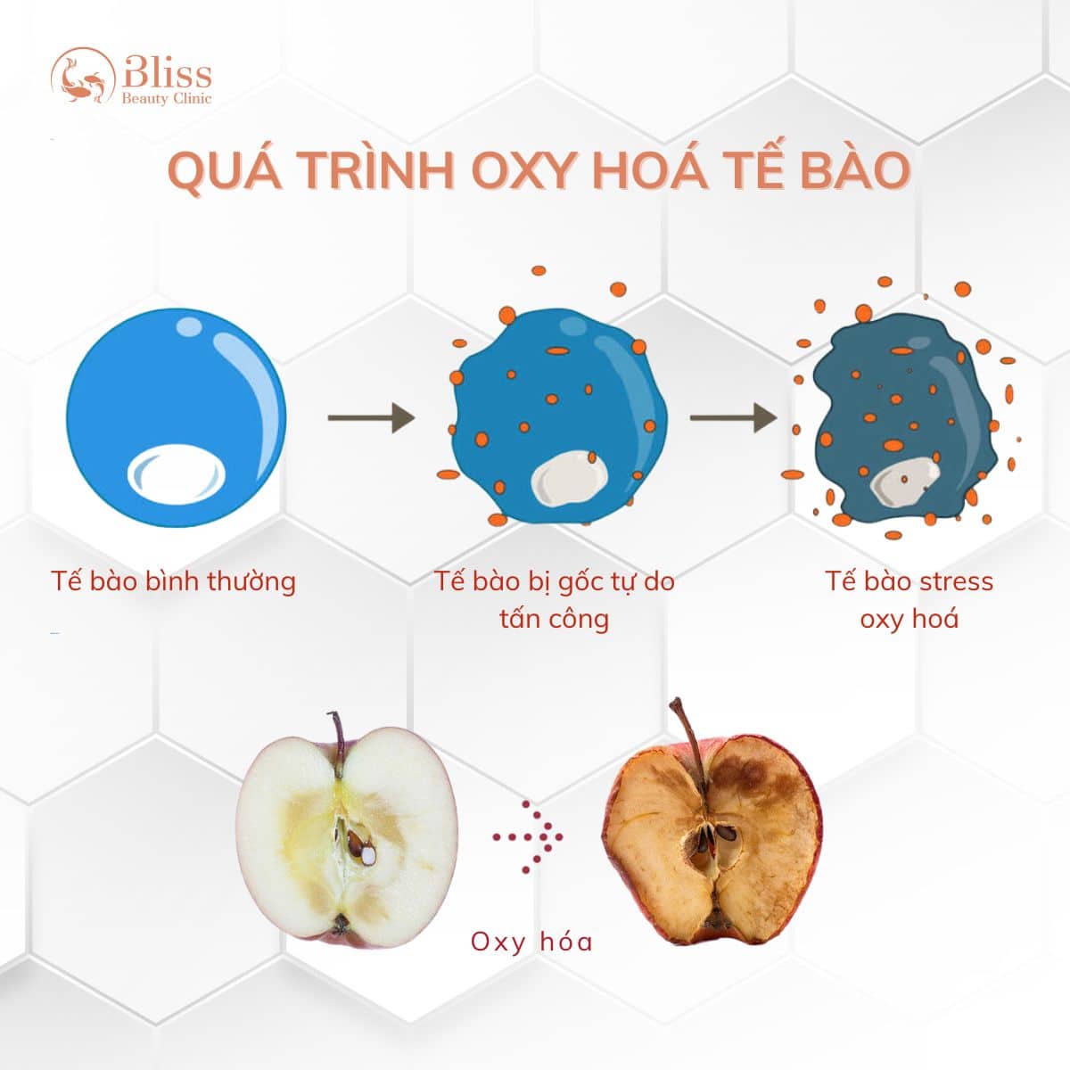 chống oxy hoá da